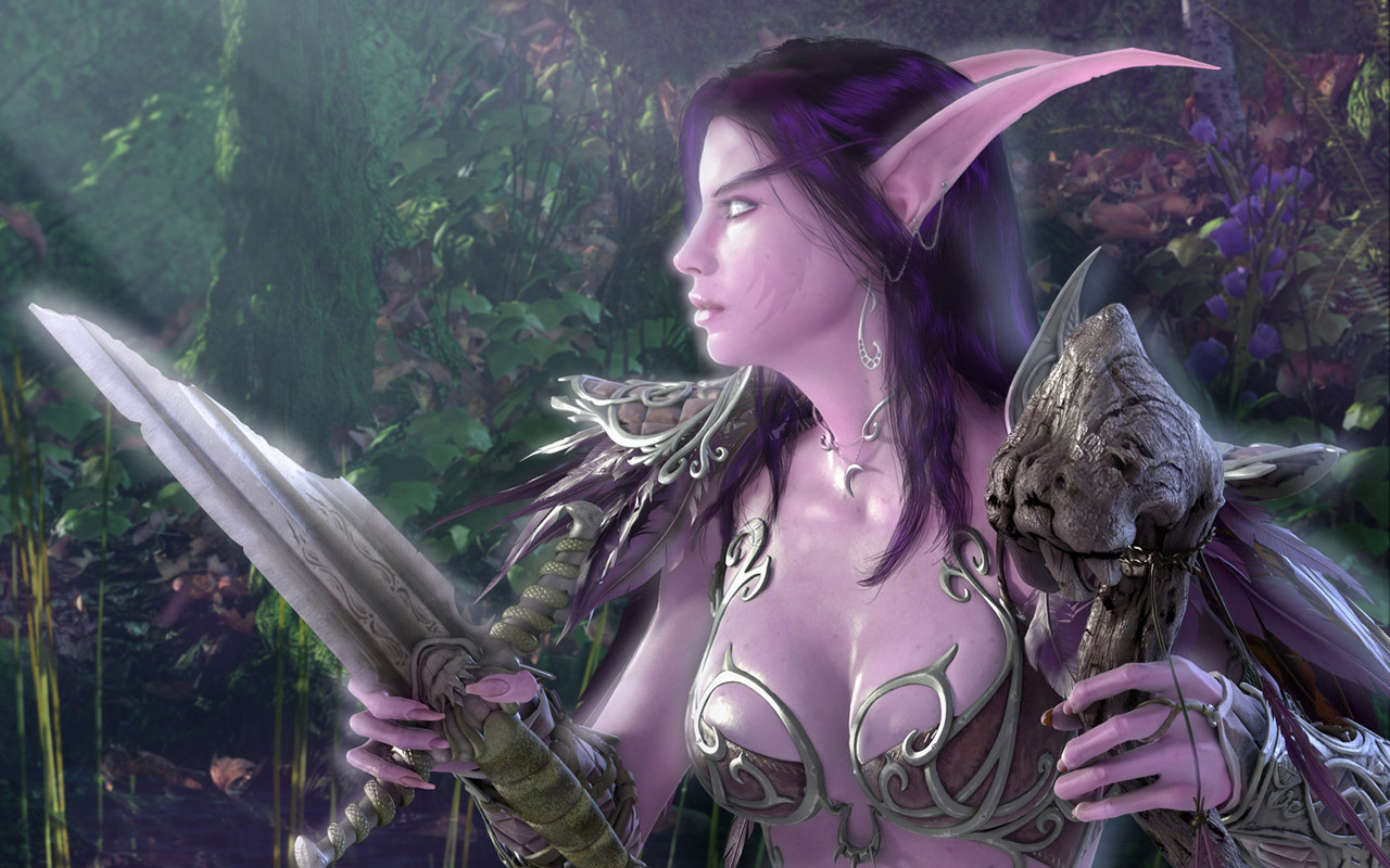 Fond d'ecran World of Warcraft Night Elf